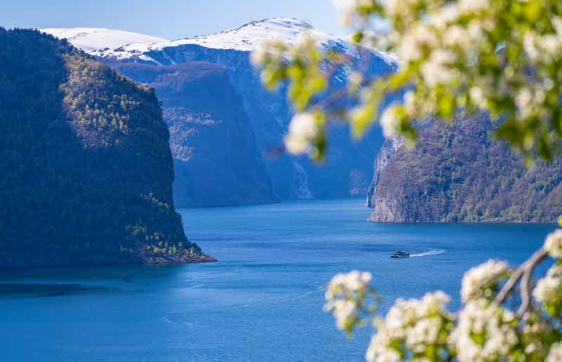 Autobús de enlace Flåm-Gudvangen