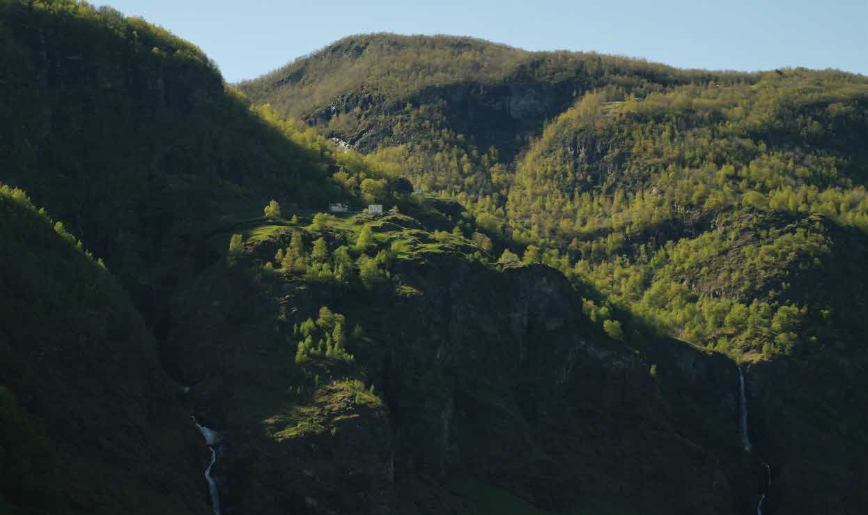 Stigen gard over Aurlandsfjord med tett skog og to fosser rundt