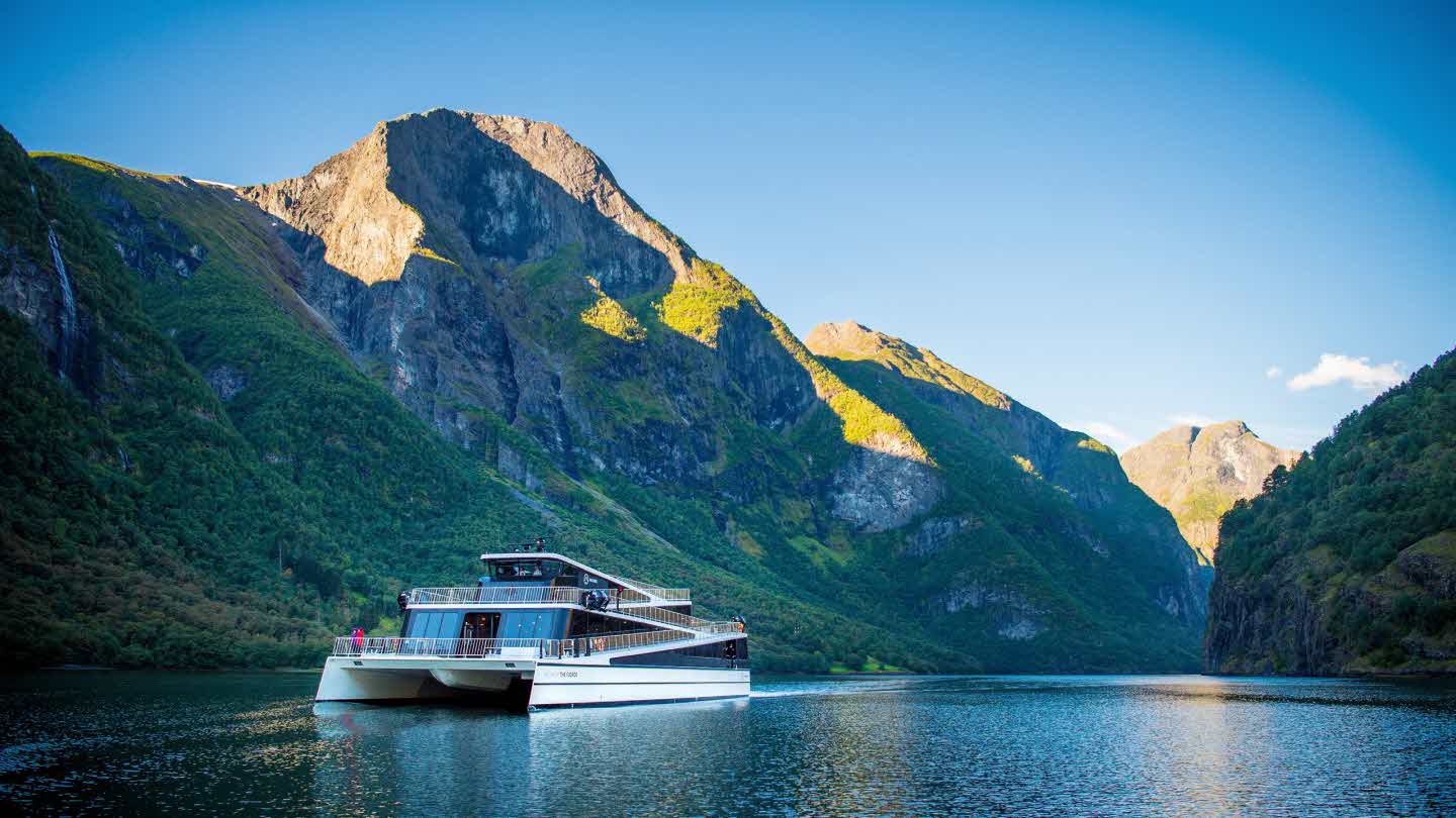 naeroyfjord tour from bergen