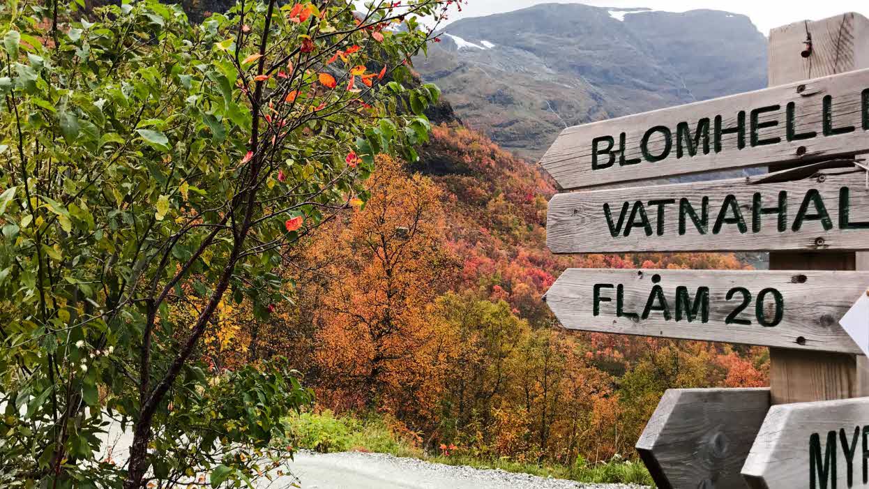 A wooden sign showing directions from the Rallarvegen surrounded by autumn colours.