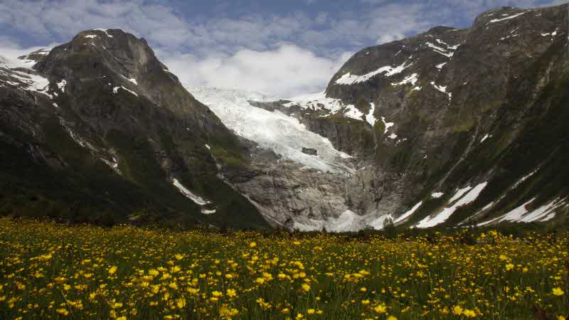 Fjord Cruise Fjærlandsfjord Full day