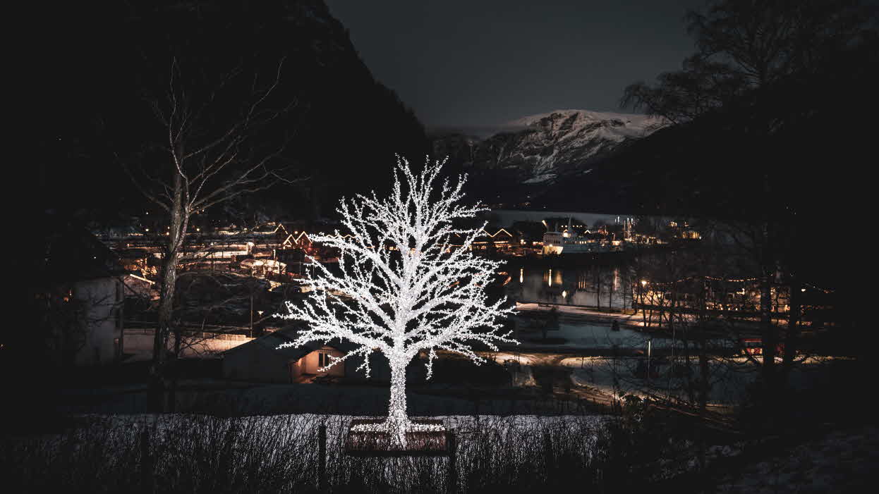 Et dekortre foran et julebelyst Flåm en mørk kveld. Snødekt fjell i bakgrunnen.