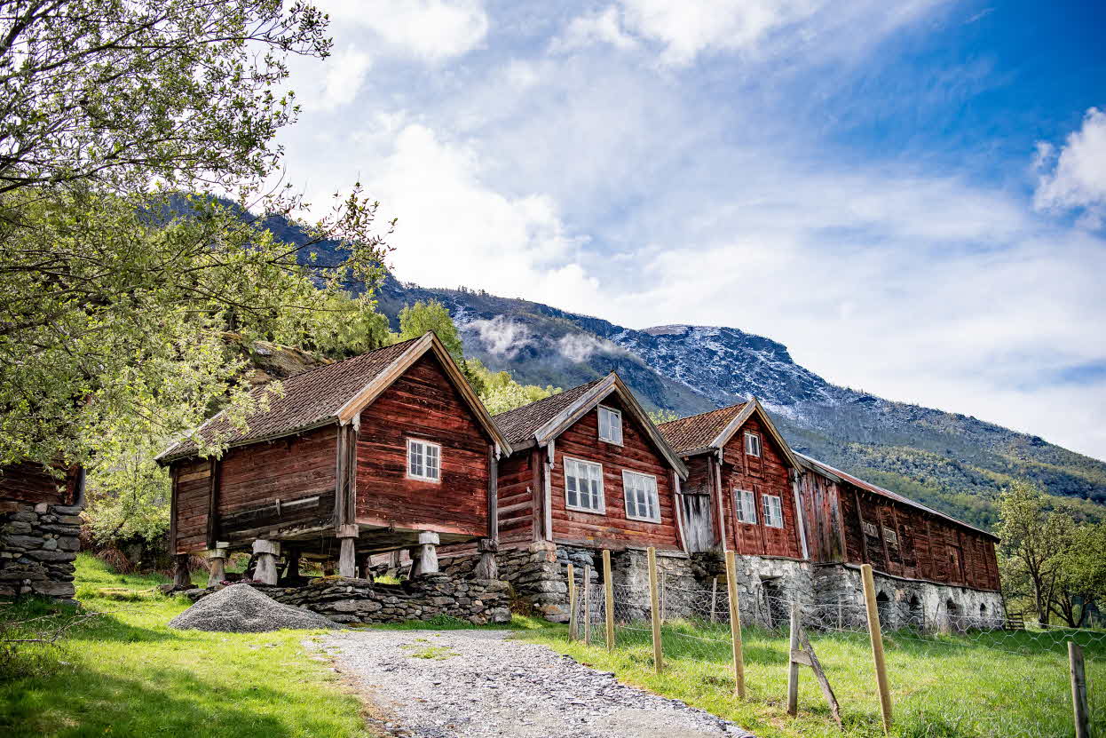 Tre gamle røde bygg og en løe på Otternes i Aurland en lettskyet dag