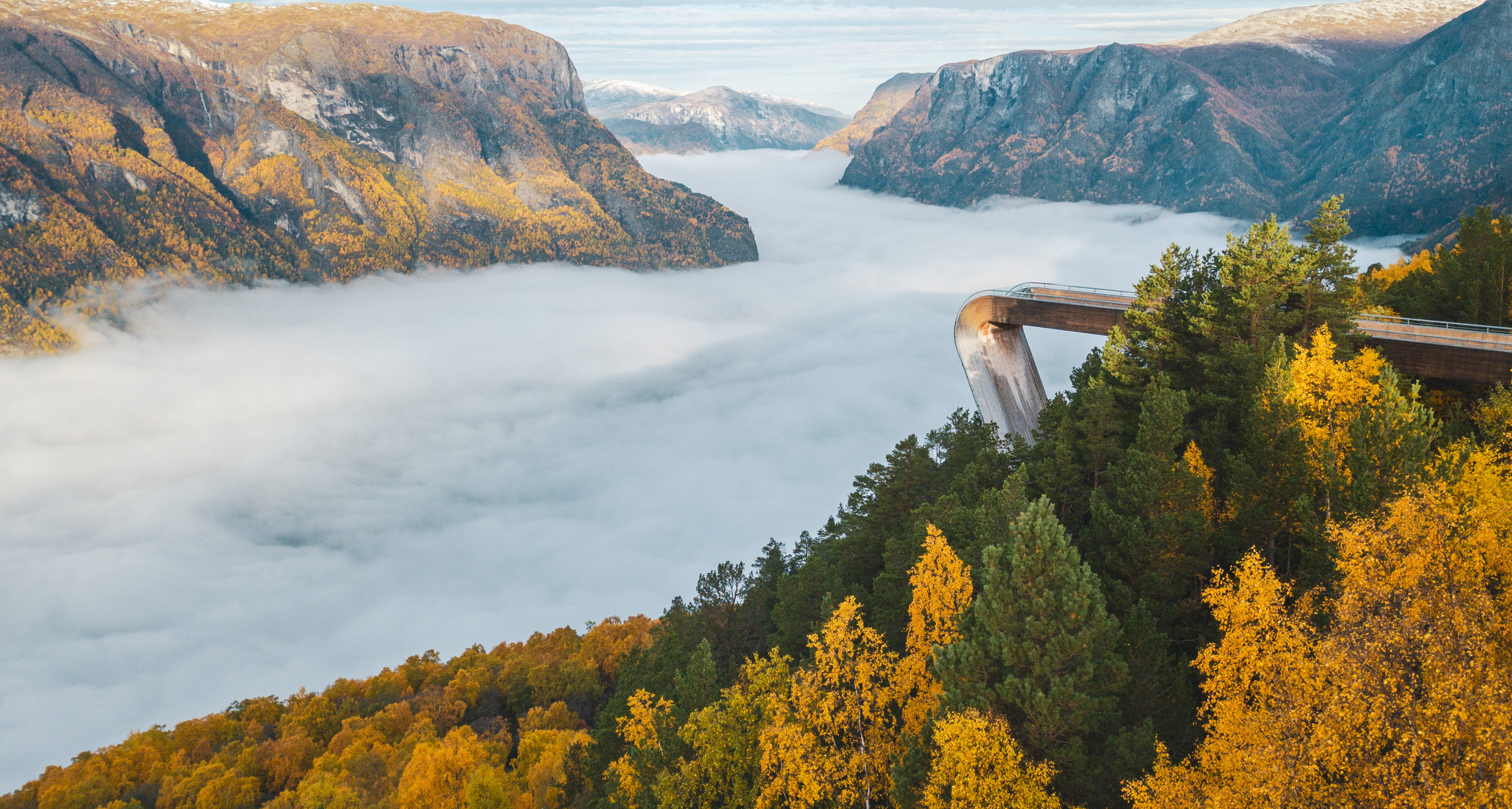 Stegastein view platform above the Aurlandsfjord covered by fog, surrounded by yellow and green forest.