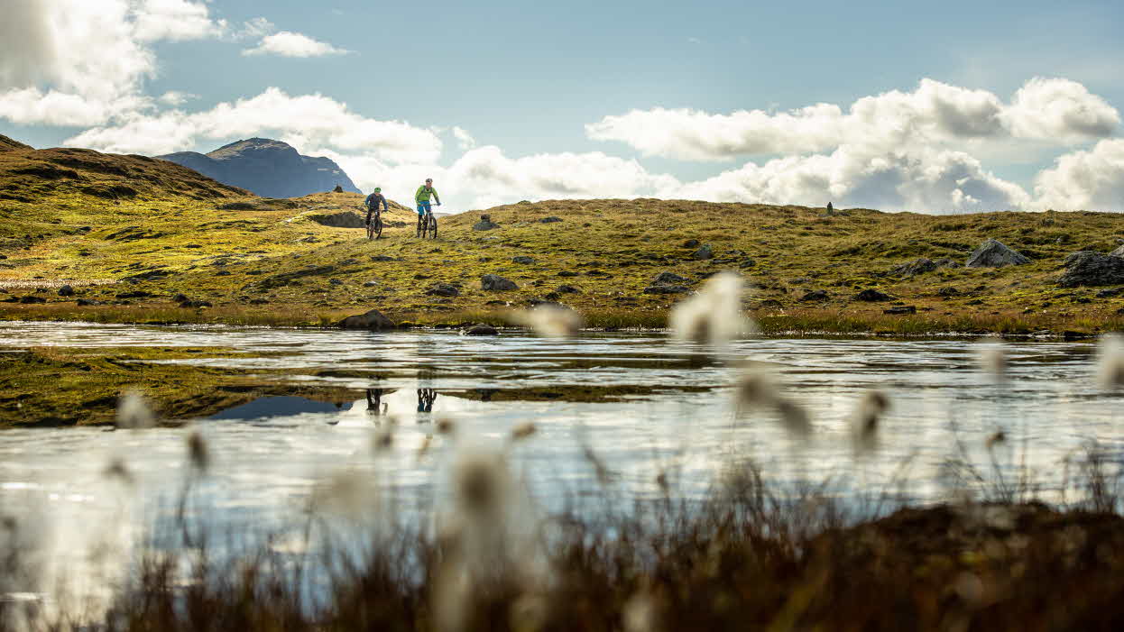 Two mountain bikers by a lake on a nice summer day.